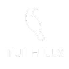 Tui Hills DJ